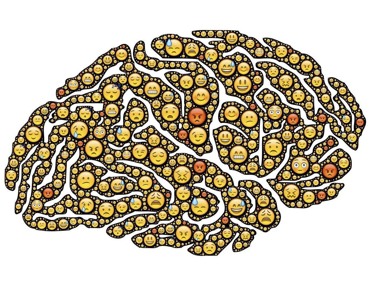brain-ge74696ff7_1280
